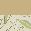 Brown Rice/Olive Leaf