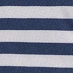 image showing Coloroption Navy Stripe