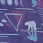image showing Coloroption Purple Arctic Nights