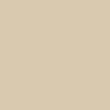 Tan Fish