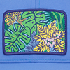 Tropical Flora